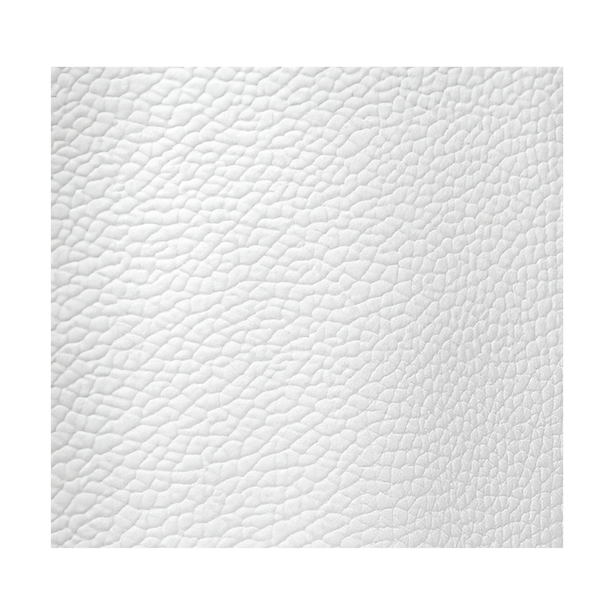 Arizona White Smooth Grained Leather